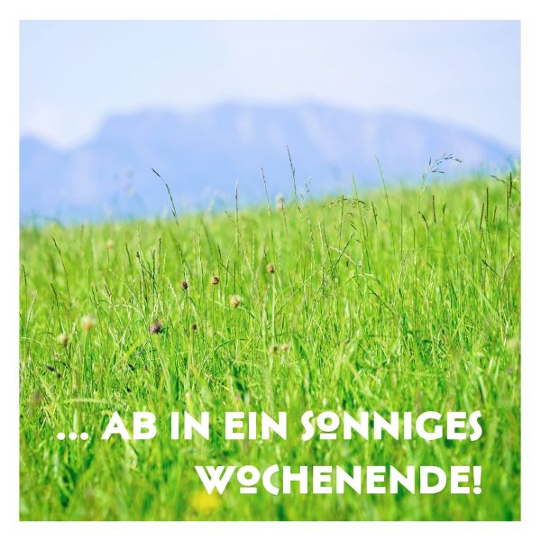 Nach einer vollen Woche hat sich unser Team ein sonniges ☀️ & entspanntes Wochenende wirklich verdient! 

 … unsere Azubis waren diese Woche auf einer Schulung
… unser Kundendienst hat sich um die Wartung und Instandhaltung unserer Heizung- und Sanitärinstallationen gekümmert
… & unsere Damen im Büro halten alles zusammen.

#familienbetrieb #ausbildungsberuf #handwerkhatzukunft #handwerk #liebezudetail #präzision, #design #gruenwalder_sanitär #gruenwalder #heizung #sanitär #solar #nachhaltig #ökologisch #gruenwalder_haustechnik #ausbildungsbetrieb #badtölz #bad_tölz #badtoelz